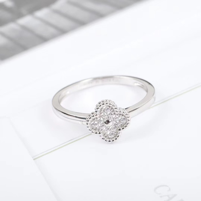 6f0447f6625f6060fcea4ed159139092_1720506018_3287.jpg 6f0447f6625f6060fcea4ed159139092_1720506018_3287.jpg