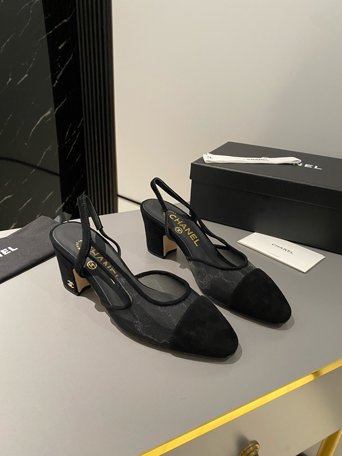 d3e2dde2c60fde6cb029e81b0e9be1aa_1725116477_0347.JPG d3e2dde2c60fde6cb029e81b0e9be1aa_1725116477_0347.JPG