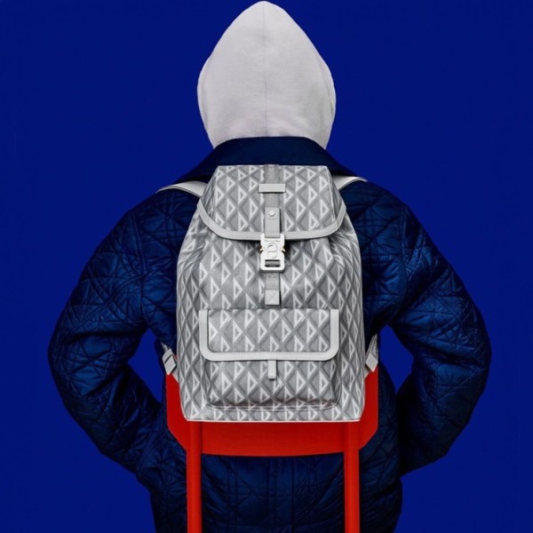✨디올 남성 그레이 백팩 - Dior Mens Gray Back Pack - di546x