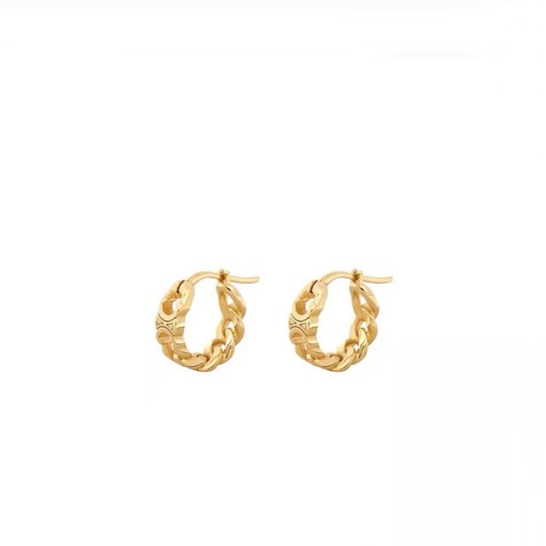✨셀린느 여성 골드 이어링 - Celine Womens Gold Earring - acc699x