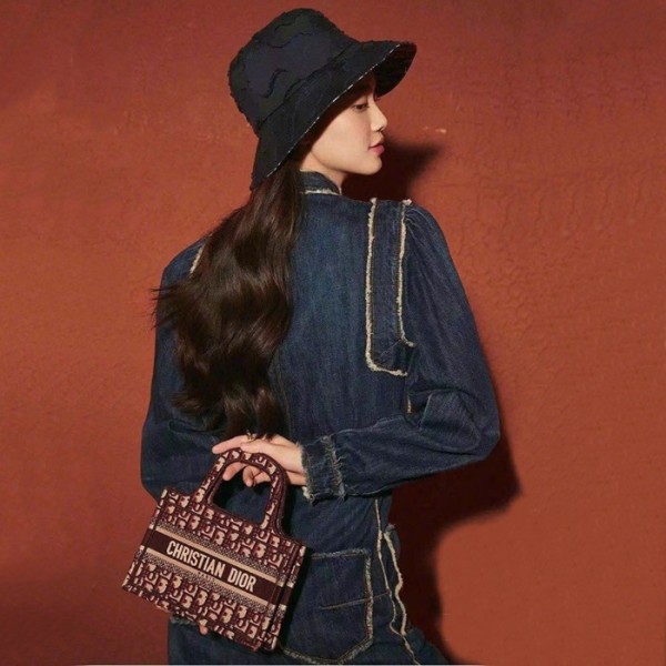 ✨디올 여성 버건디 미니 북토트 - Dior Womens Mini Book Tote - dib611x