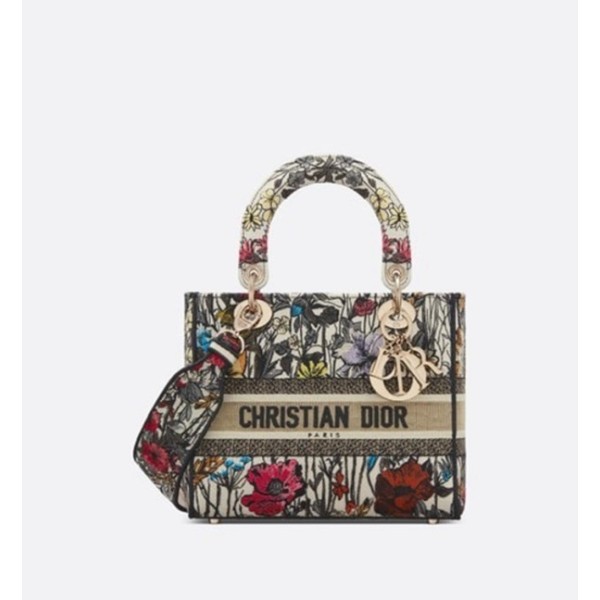 ✨디올 여성 레드 레이디 백 - Dior Womens Red Lady Bag - dib636x