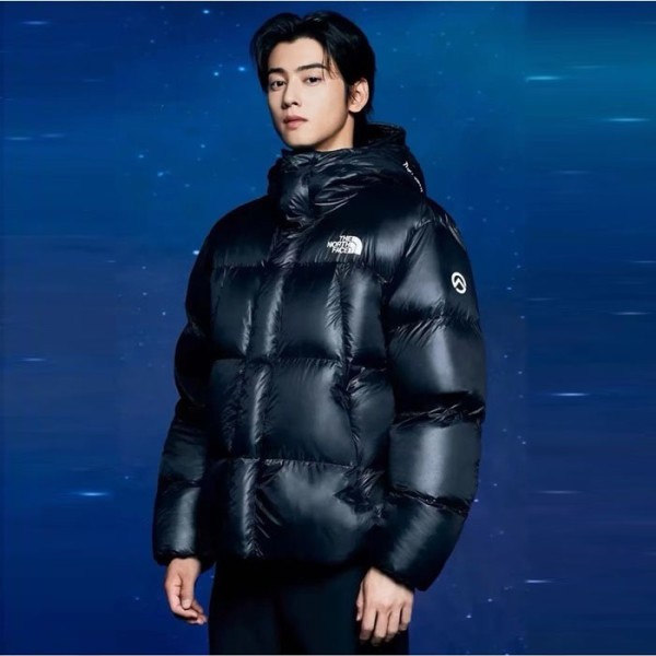 ✨노스페이스 남성 다운 패딩 - The North Face Mens Down Padding - noc3961x