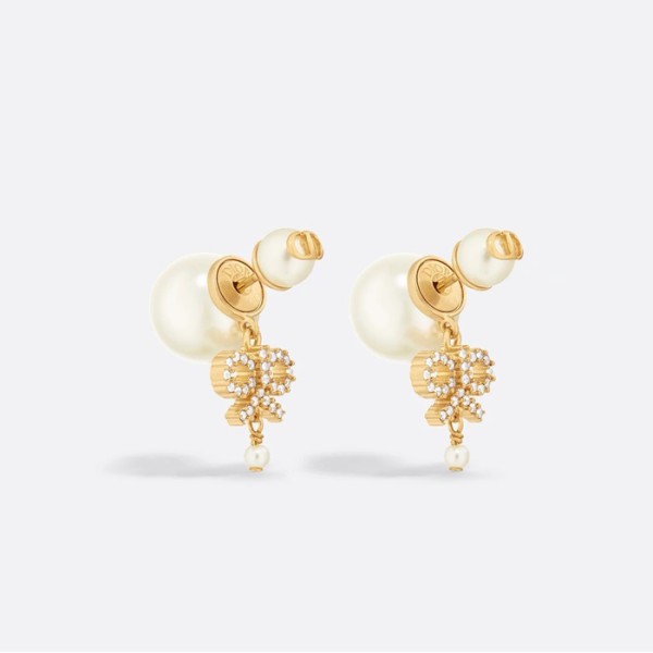 ✨디올 여성 트라이벌 이어링 - Dior Womens Tribales Earrings - acc5778x