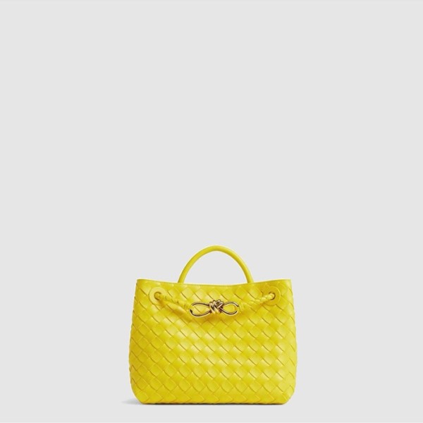 ✨보테가 베네타 여성 안디아모 토트백 스몰 - Bottega veneta Womens Andiamo Tote Bag Small - bvb9528x
