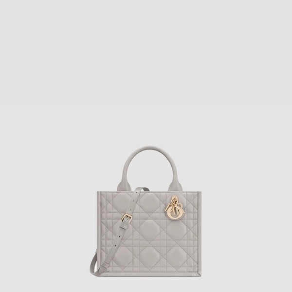 ✨디올 여성 북토트 스몰 백 - Dior Womens Book Tote Small Bag - dib10774x