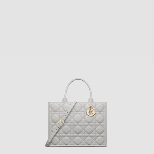 ✨디올 여성 북토트 미디엄 백 - Dior Womens Book Tote Medium Bag - dib10776x