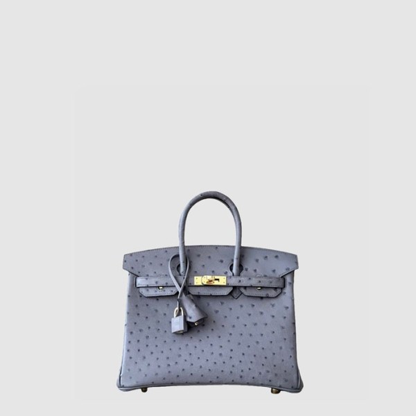✨에르메스 여성 25 버킨백 - Hermes Womens Birkin Bag - heb11469x