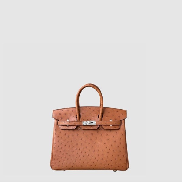 ✨에르메스 여성 25 버킨백 - Hermes Womens Birkin Bag - heb11481x